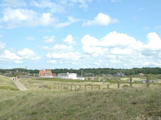 Dünen und Wald