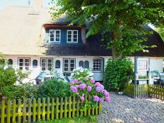 Vakantiehuis Nieblum Omgeving 30