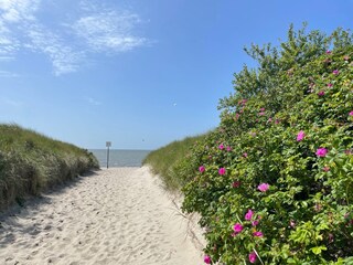 Vakantiehuis Nieblum Omgeving 35