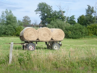 Heuwagen in Barnstorf