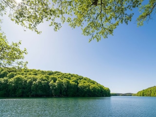 Hôtel Feldberg in Mecklenburg Environnement 18