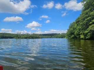 Hôtel Feldberg in Mecklenburg Environnement 19