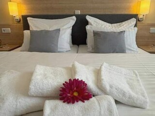 Hotel Feldberg in Mecklenburg Features 16