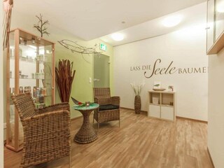 Apartment Feldberg in Mecklenburg Features 9