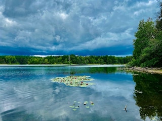 Hôtel Feldberg in Mecklenburg Environnement 28