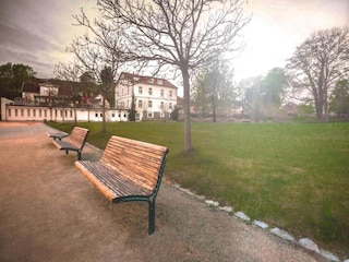 Apartment Feldberg in Mecklenburg Environment 29
