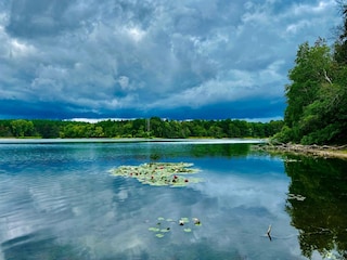 Apartment Feldberg in Mecklenburg Environment 22