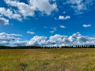 Apartment Feldberg in Mecklenburg Environment 27