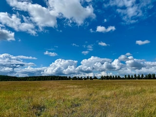 Hôtel Feldberg in Mecklenburg Environnement 22