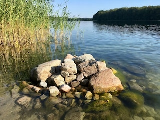 Hôtel Feldberg in Mecklenburg Environnement 20