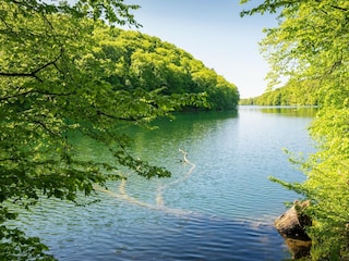 Apartment Feldberg in Mecklenburg Umgebung 17