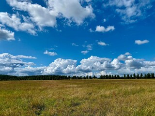 Hôtel Feldberg in Mecklenburg Environnement 27