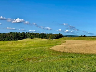 Apartment Feldberg in Mecklenburg Umgebung 27