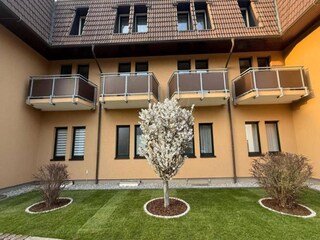 Hotel Feldberg in Mecklenburg Buitenaudio-opname 8