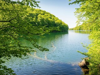 Appartamento Feldberg in Mecklenburg Ambiente 19
