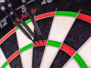 Apartment Feldberg in Mecklenburg  31