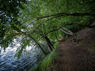 Appartement Feldberg in Mecklenburg Environnement 17