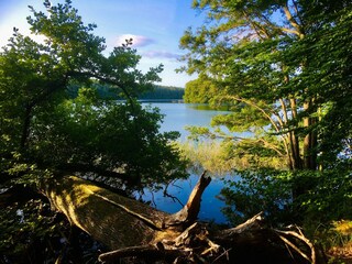 Appartamento Feldberg in Mecklenburg Ambiente 26