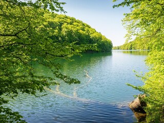 Appartamento Feldberg in Mecklenburg Ambiente 27