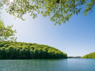 Appartamento Feldberg in Mecklenburg Ambiente 18