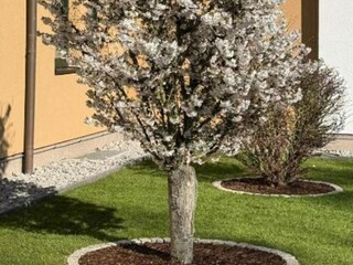 Apartamento Feldberg in Mecklenburg Grabación al aire libre 7