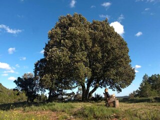 Casa de vacaciones L'Espluga de Francoli Grabación al aire libre 11