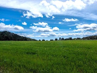 Casa de vacaciones L'Espluga de Francoli Entorno 37