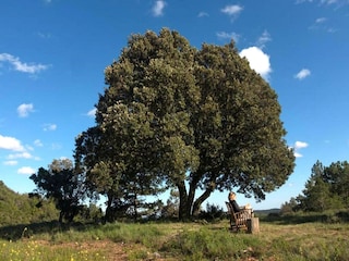 Landhaus L'Espluga de Francoli Außenaufnahme 13