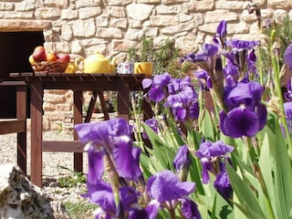 Landhaus L'Espluga de Francoli  42