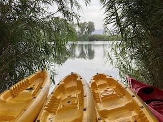 Holiday house Eucaliptus-Playa  43