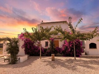 Ferienhaus Eucaliptus-Playa Außenaufnahme 5