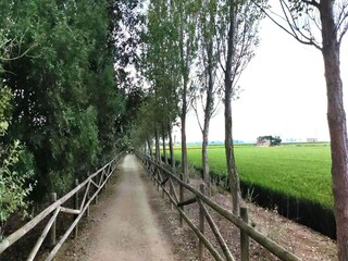 Holiday house Eucaliptus-Playa Environment 40