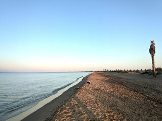 Maison de vacances Eucaliptus-Playa Environnement 42