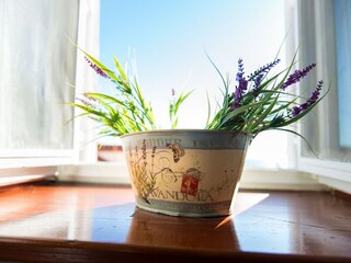 Apartamento Dubrovnik  14