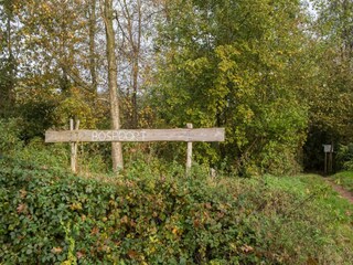 Bungalow Westerbork Environnement 36