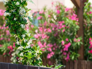 Parque de vacaciones Kiotari  36