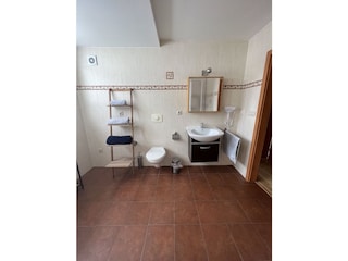 Ferienhaus Lipno nad Vltavou Badezimmer 12
