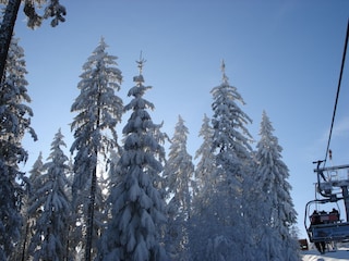 Ferienhaus Lipno nad Vltavou  19