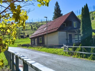Frühlingserwachen im Harz
