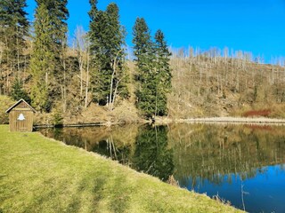 Mühlenteich in Lerbach