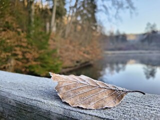 Wintermoment am Wasser – Frostige Morgenstimmung am Tei