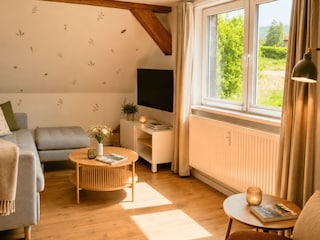 Schlafsofa, Smart TV mit Lan und Blick aus dem Fenster