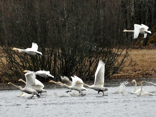 Bauernhof Skultuna Umgebung 22