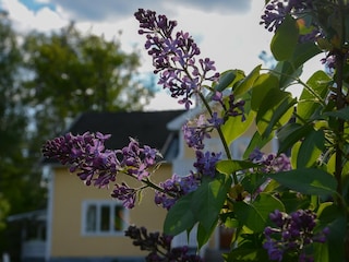 Bauernhof Skultuna  34