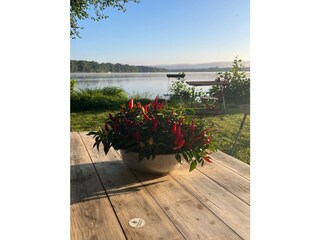 Im Garten des Ankerplatzes