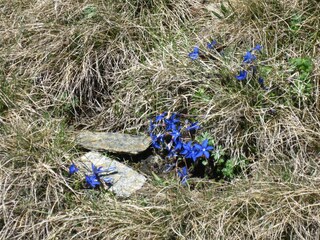 Capanna alpina Mörtschach Registrazione all'aperto 6