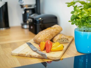 Apartamento de vacaciones Westerland Características 13