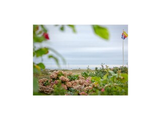 Ferienhaus Munkmarsch Außenaufnahme 58