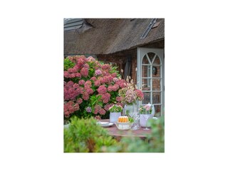 Ferienhaus Munkmarsch Außenaufnahme 59