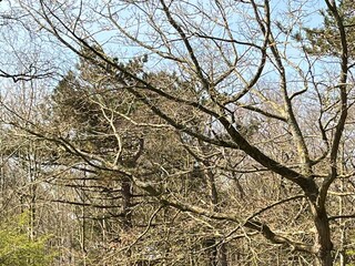 Blick aus dem Wohnzimmer ins Grüne